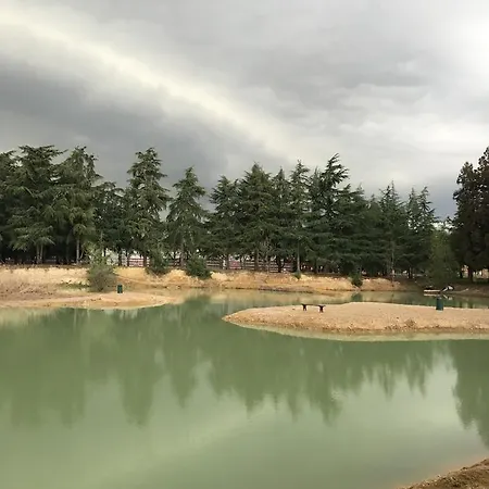 Tenuta Adriana * Masserano